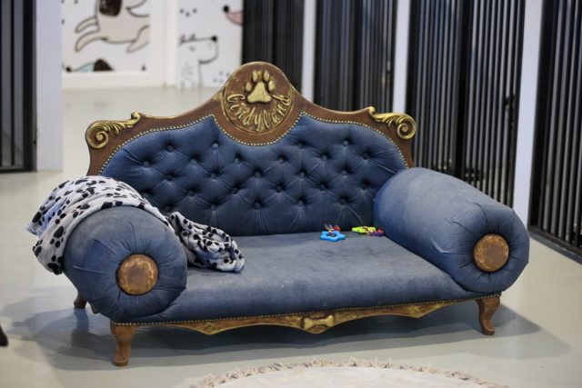 Cindyland - Pansion za pse i mačke. Druga kuća vašeg ljubimca. Podgorica, Crna Gora.