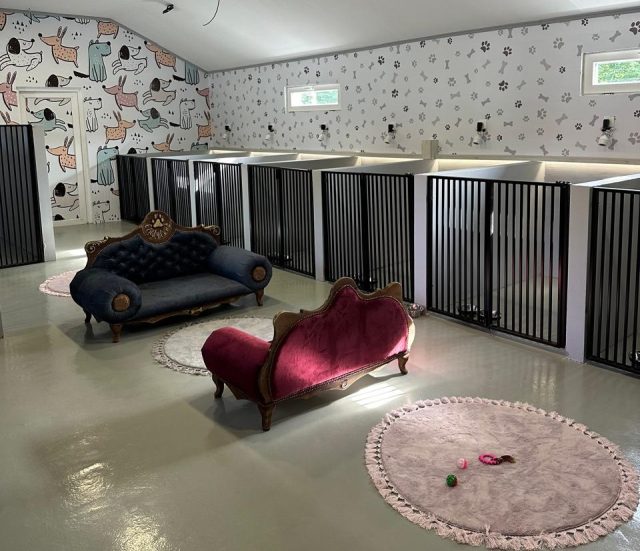 Cindyland - Pansion za pse i mačke. Druga kuća vašeg ljubimca. Podgorica, Crna Gora.