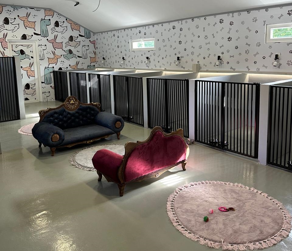 Cindyland - Pansion za pse i mačke. Druga kuća vašeg ljubimca. Podgorica, Crna Gora.